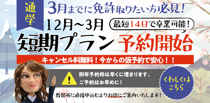 2025冬2026春短期